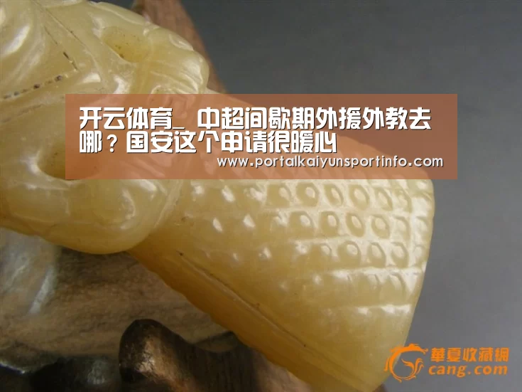 开云体育_
中超间歇期外援外教去哪？国安这个申请很暖心