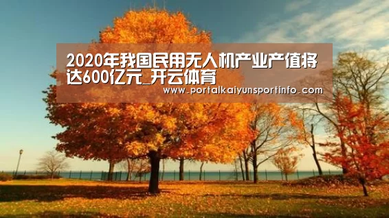 2020年我国民用无人机产业产值将达600亿元_开云体育(图2) 开云体育