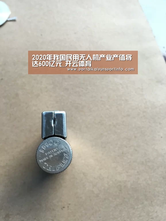 2020年我国民用无人机产业产值将达600亿元_开云体育(图3) 开云体育